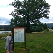 IMG_20180616_154207980