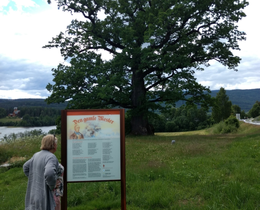 IMG_20180616_154207980