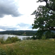 IMG_20180616_154425079